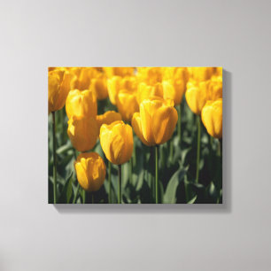 Lienzo Tulipanes 3