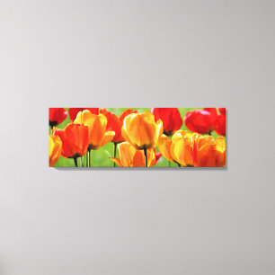 Lienzo Tulipanes amarillos y rojos