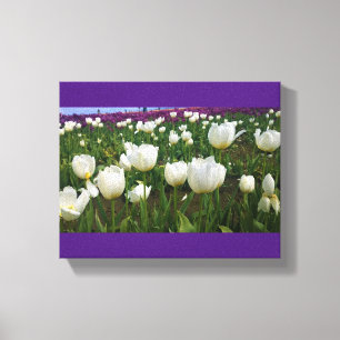 Lienzo Tulipanes blancos en un campo, Oregón
