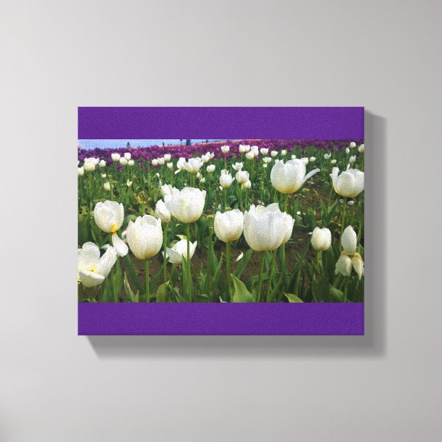 Lienzo Tulipanes blancos en un campo, Oregón (Anverso)