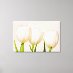 Lienzo Tulipanes blancos sobre un fondo blanco,