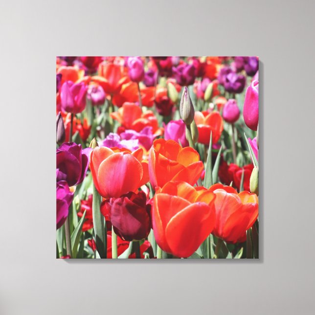 Lienzo Tulipanes cálidos de caída (Anverso)