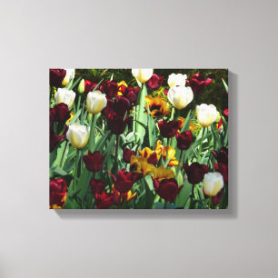 Lienzo Tulipanes coloridos de color marrón y amarillo