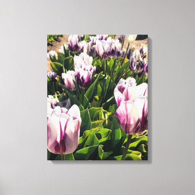 Lienzo Tulipanes de franja blanca y púrpura (Anverso)