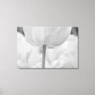 Lienzo Tulipanes en Keukenhof Gardens, Holanda.