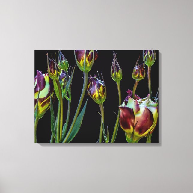 Lienzo Tulipanes etéreos púrpura (Anverso)