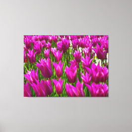 Lienzo Tulipanes morados en Keukenhof Holland Premium env