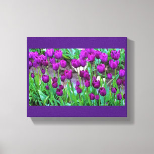 Lienzo Tulipanes morados, Oregón