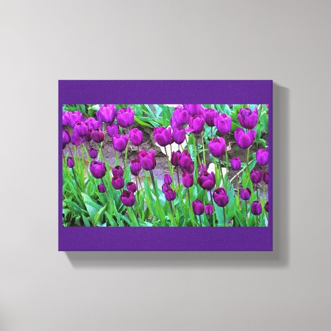 Lienzo Tulipanes morados, Oregón (Anverso)