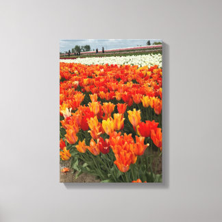 Lienzo Tulipanes naranjas en campo, Woodburn, OR