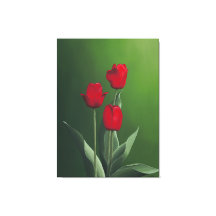 Tulipanes Rojos