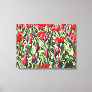 Lienzo Tulipanes rojos