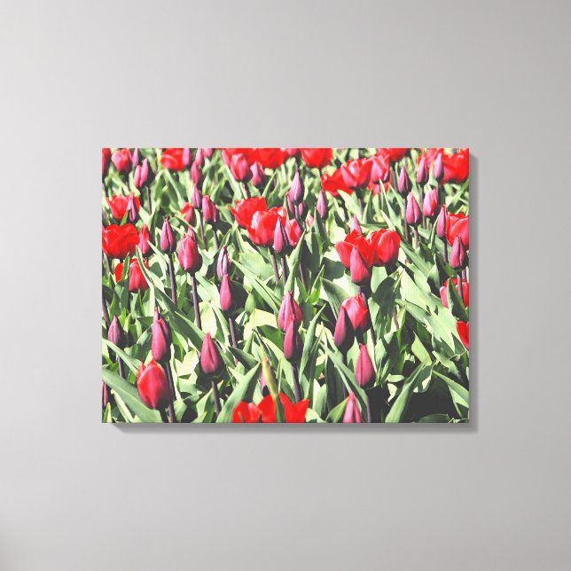 Lienzo Tulipanes rojos (Anverso)