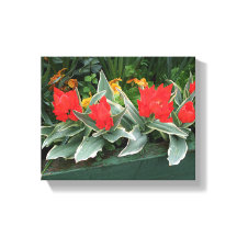 Tulipanes rojos bonitos florales modernos brillant