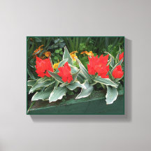 Tulipanes rojos bonitos florales modernos brillant