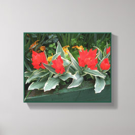 Lienzo Tulipanes rojos bonitos florales modernos brillant