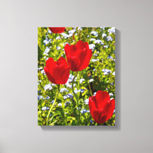 Lienzo Tulipanes rojos en campo