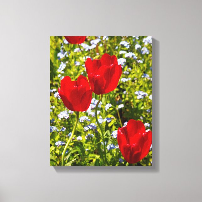 Lienzo Tulipanes rojos en campo (Anverso)