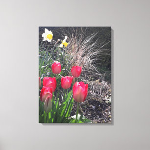 Lienzo Tulipanes rojos en el jardín