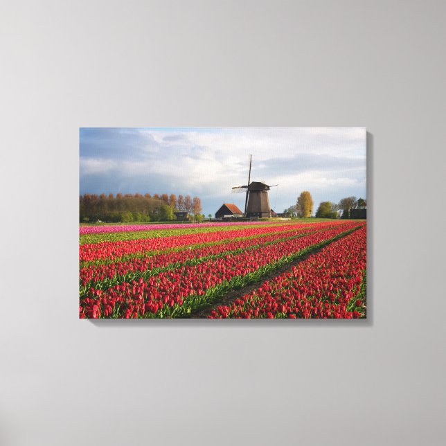Lienzo Tulipanes rojos y molino de viento (Anverso)