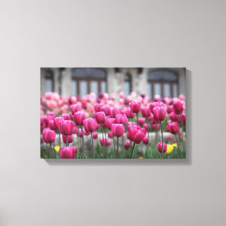 Lienzo Tulipanes rosados - Montreal (lienzo)