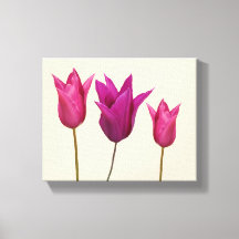 tulipanes rosados simple florido elegante