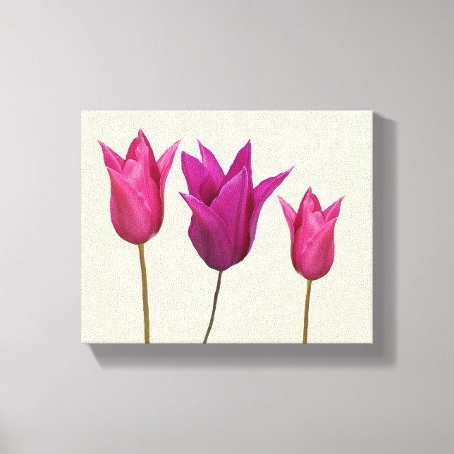 Lienzo tulipanes rosados simple florido elegante (Anverso)