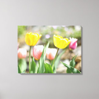 Lienzo Tulipanes rosados y amarillos