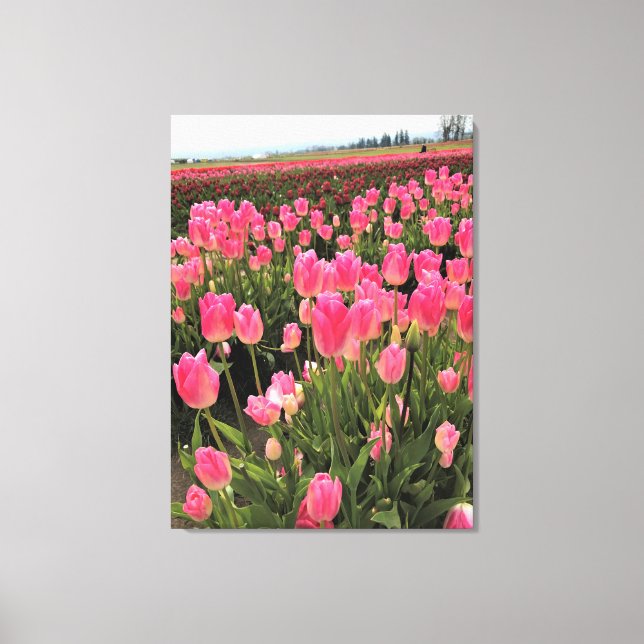 Lienzo Tulipanes rosados y rojos en un campo, Oregón (Anverso)