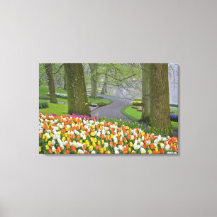 Lienzo Tulipanes y carretera, Jardines Keukenhof, Lisse,