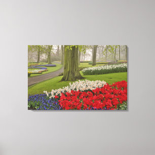 Lienzo Tulipanes y narcisos, Jardines Keukenhof,