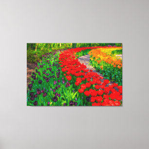 Lienzo Tulips Canvas Art