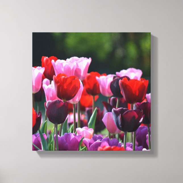 Lienzo Tulips Canvas Print (Anverso)