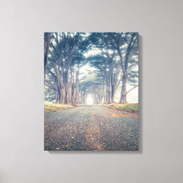 Lienzo Túnel Cypress