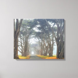 Lienzo Túnel Cypress