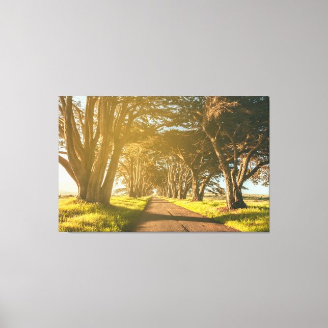 Lienzo Túnel Cypress (Anverso)