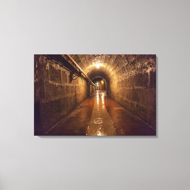 Lienzo Túnel de la mina de sal Alte Saline (Anverso)