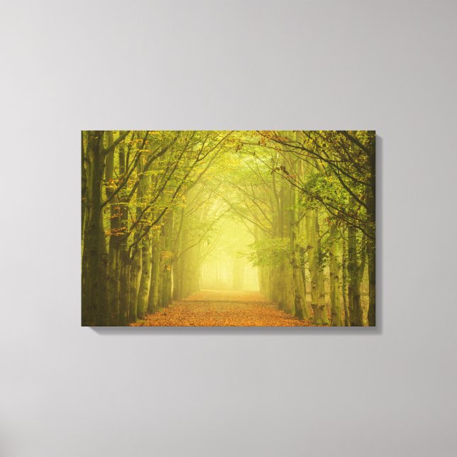 Lienzo Túnel de luz (Anverso)