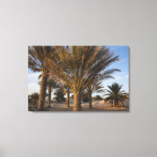 Lienzo Túnez, desierto del Sahara, Douz, Gran Duna, palme