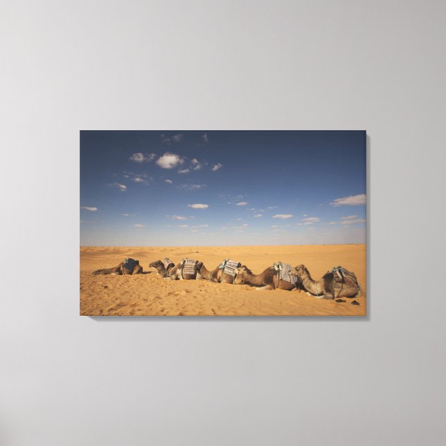 Lienzo Túnez, zona de Ksour, Ksar Ghilane, Gran Erg 2 (Anverso)