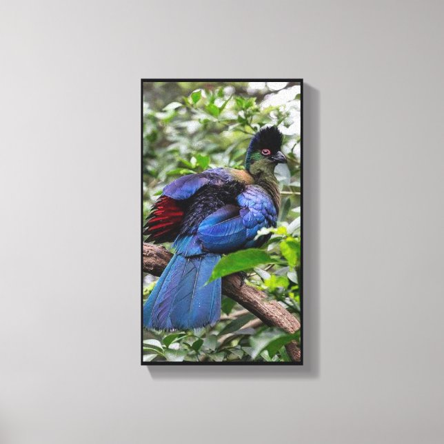 Lienzo Turaco púrpura (Anverso)