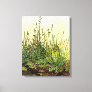 Lienzo Turf grande - Albrecht Durer - c1503