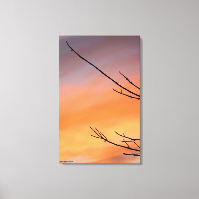 Lienzo Twig Silhouette con rojo, Naranja al atardecer (Anverso)