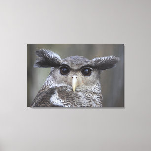 Lienzo Ueno, Taitoh-ku, Tokio, Japón 3