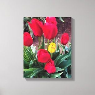 Lienzo Un amarillo con tulipanes rojos