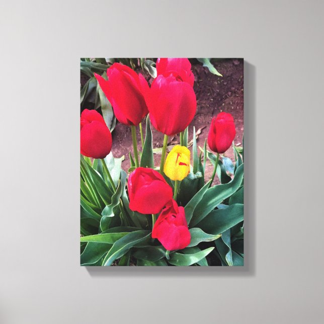 Lienzo Un amarillo con tulipanes rojos (Anverso)