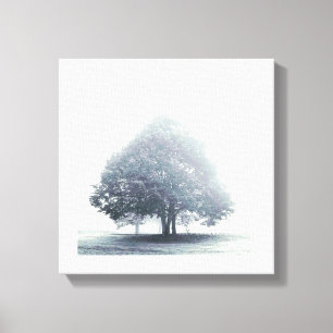 Lienzo Un árbol en la niebla
