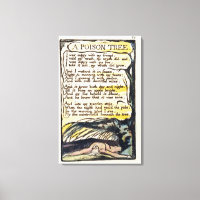 'Un árbol venenoso', placa 50 (Bentley 49) de 'Can