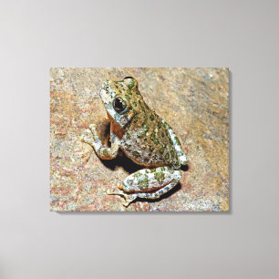 Lienzo Un barranco Treefrog