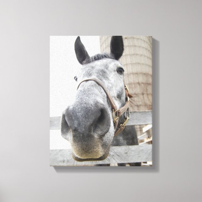 Lienzo Un buen acercamiento a un caballo (Anverso)
